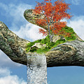 Piece of Nature